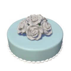 Color Cake Round Whiterose
