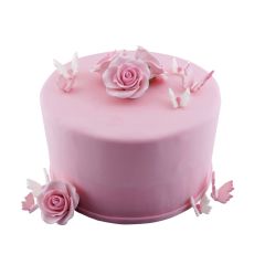 Color-Torte rund Pinkdesign