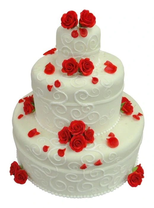 Wedding Cake/ Christmas Cake Cutter 2