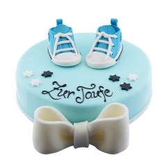 Color Cake Round Blue Shoe